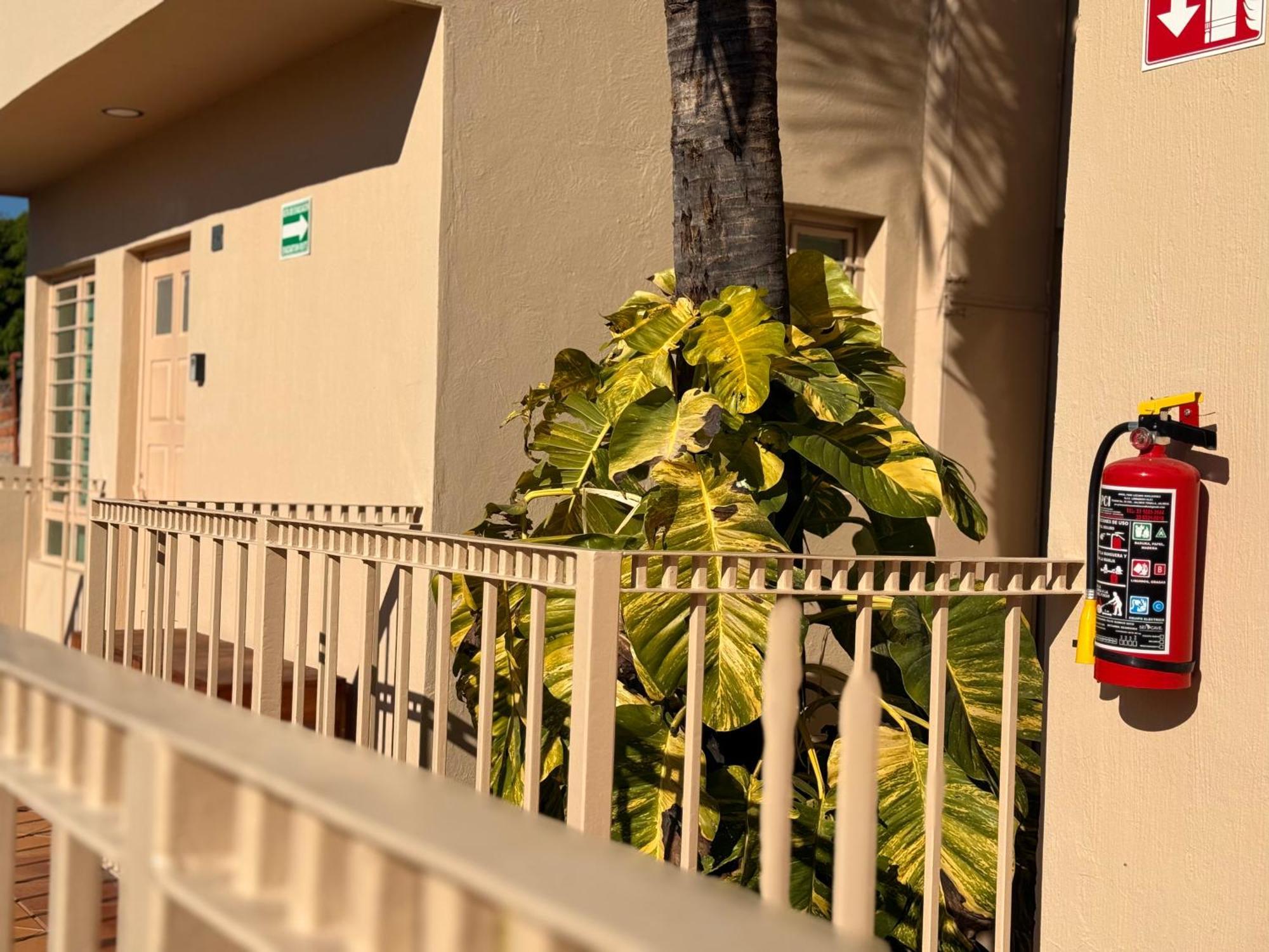 Villa La Palma Hotel Текіла Екстер'єр фото