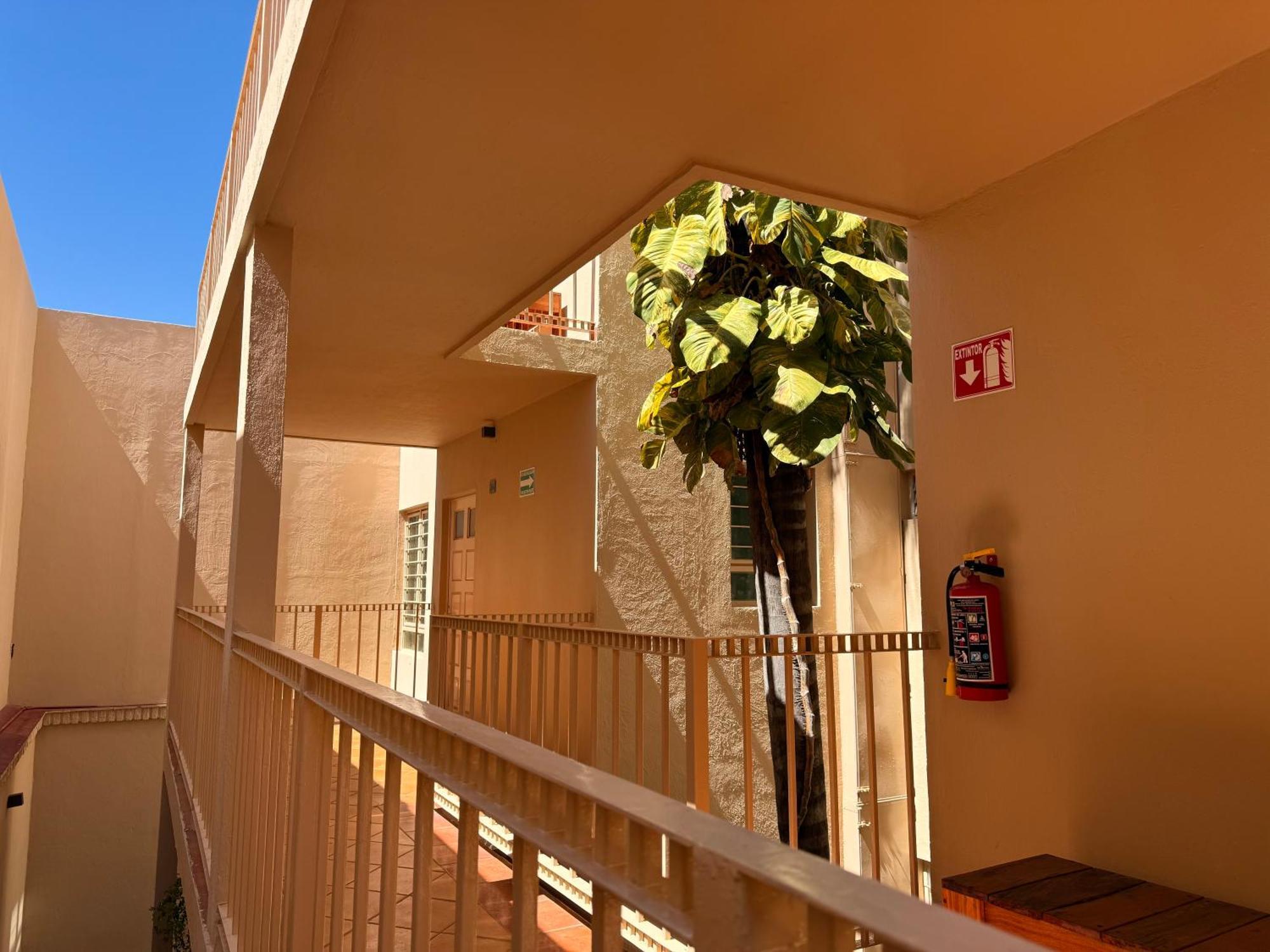 Villa La Palma Hotel Текіла Екстер'єр фото